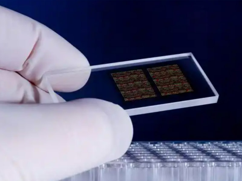 Biological chip